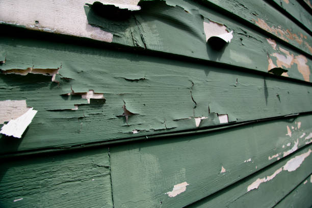 The Villages, FL Junk Removal Company